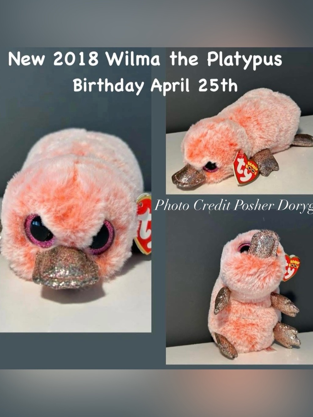 New 2018 Ty Beanie Boo Plush Wilma the Platypus - Pink Glitter Accents